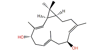 Sinularcasbane C